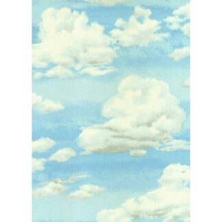Landscape Sky - 803/B2